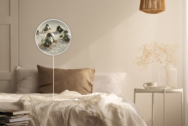 ROZTOCZA KURZU DOMOWEGO: TWOI NIEWIDZIALNI WSPÓŁLOKATORZY, KTÓRZY SZKODZĄ TWOJEMU ZDROWIU